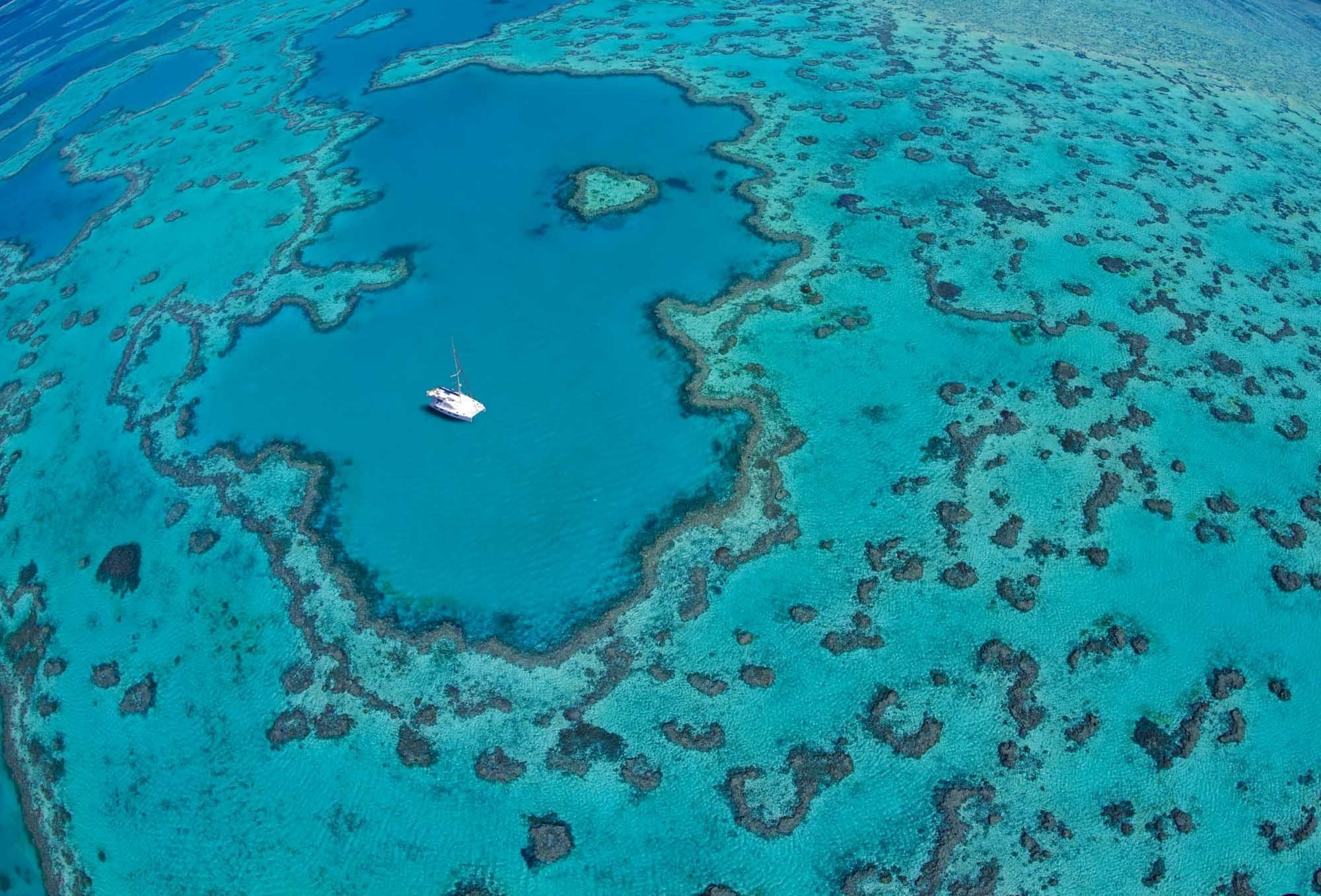 See the renowned Heart Reef in the Great Barrier Reef - holidays Hamilton Island 