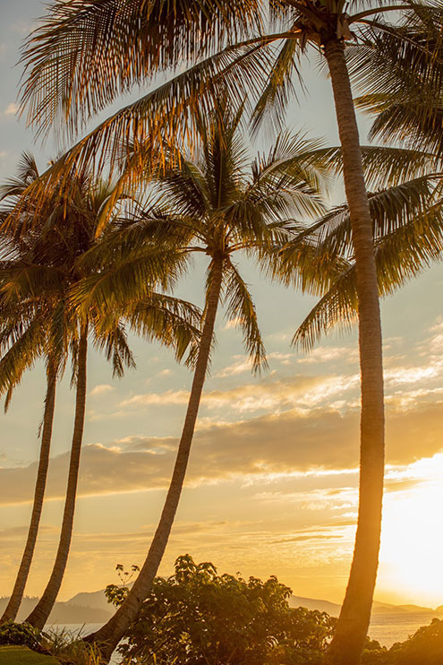 Hamilton Island Resort, The Sundays, Sunset glow